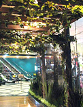 gardens